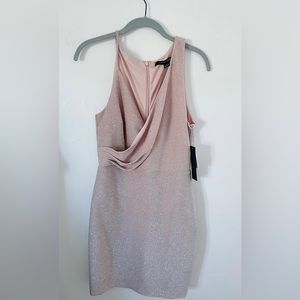 NWT Cynthia Steffe Sparkly Pink Dress Asymmetrical